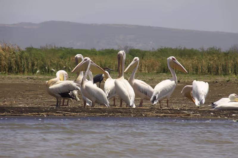 Nairobi Private Tour - 