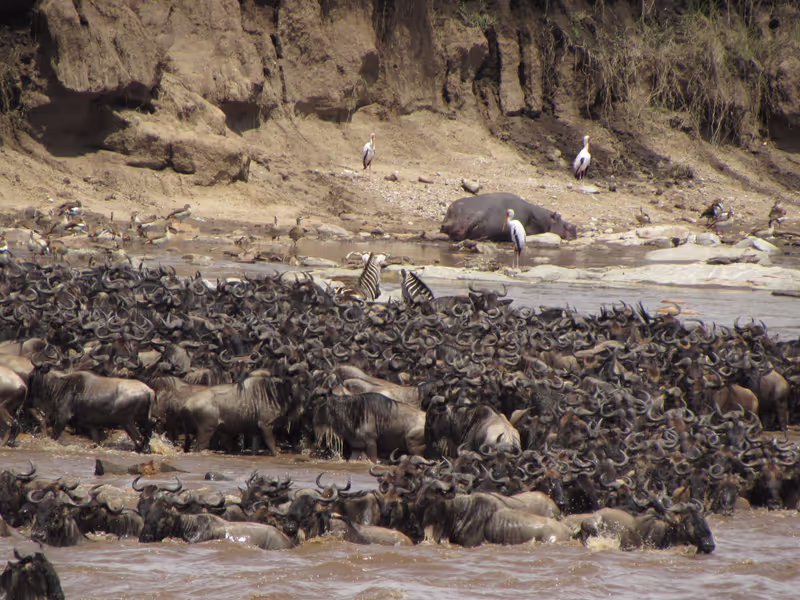 Nairobi Private Tour - 