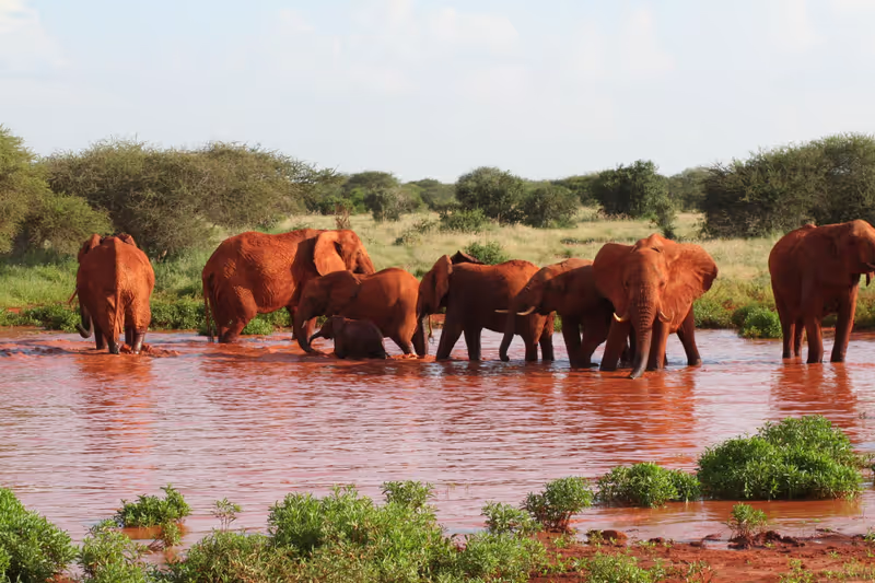 Nairobi Private Tour - 