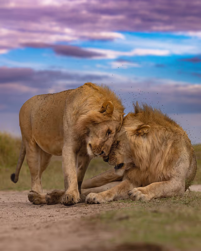 Nairobi Private Tour - 