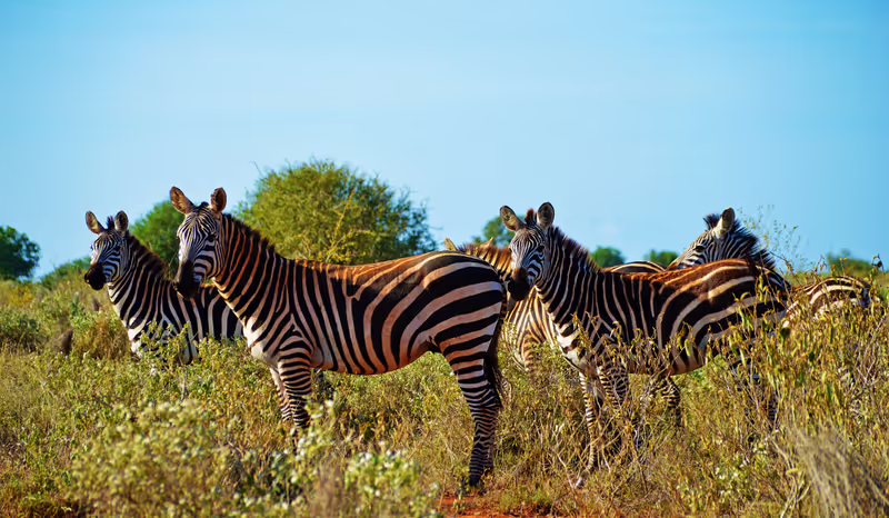 Nairobi Private Tour - 