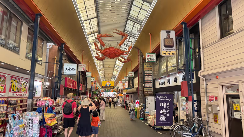 Osaka Private Tour - 