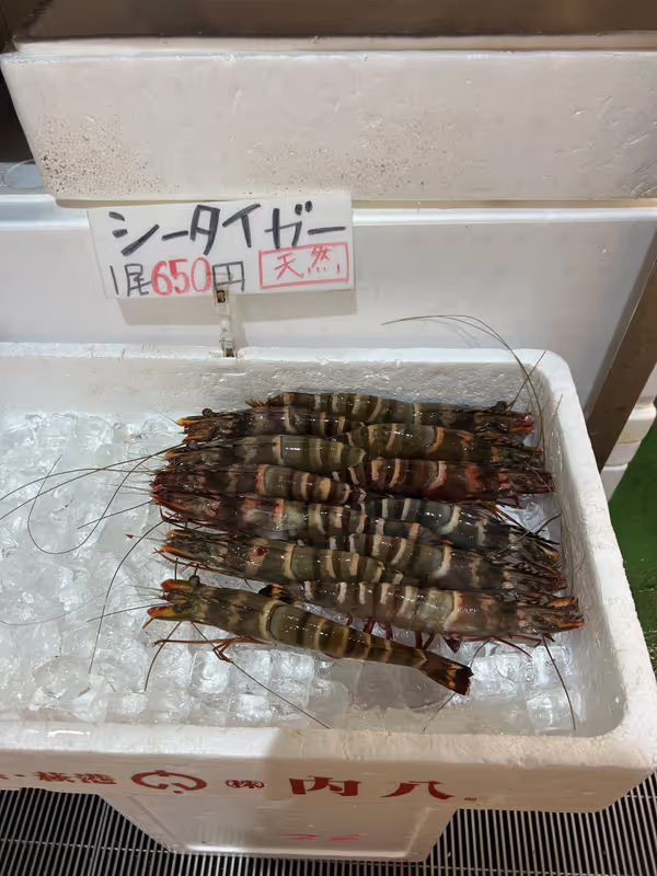 Tokyo Private Tour - 