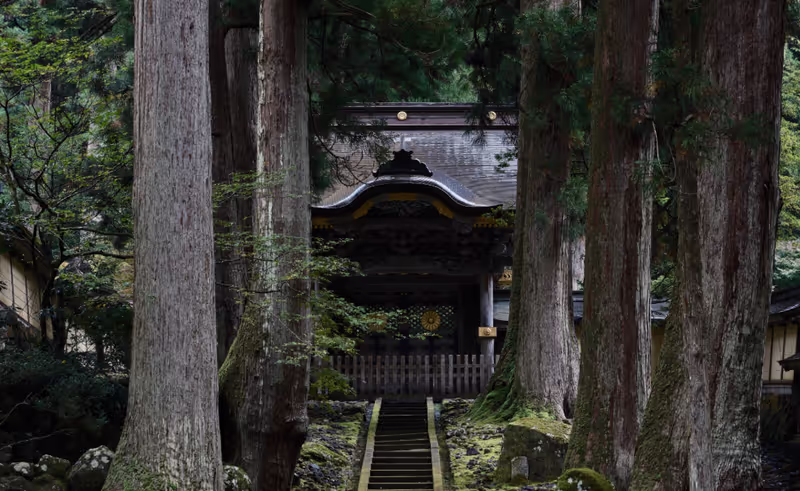 Fukui Private Tour - 