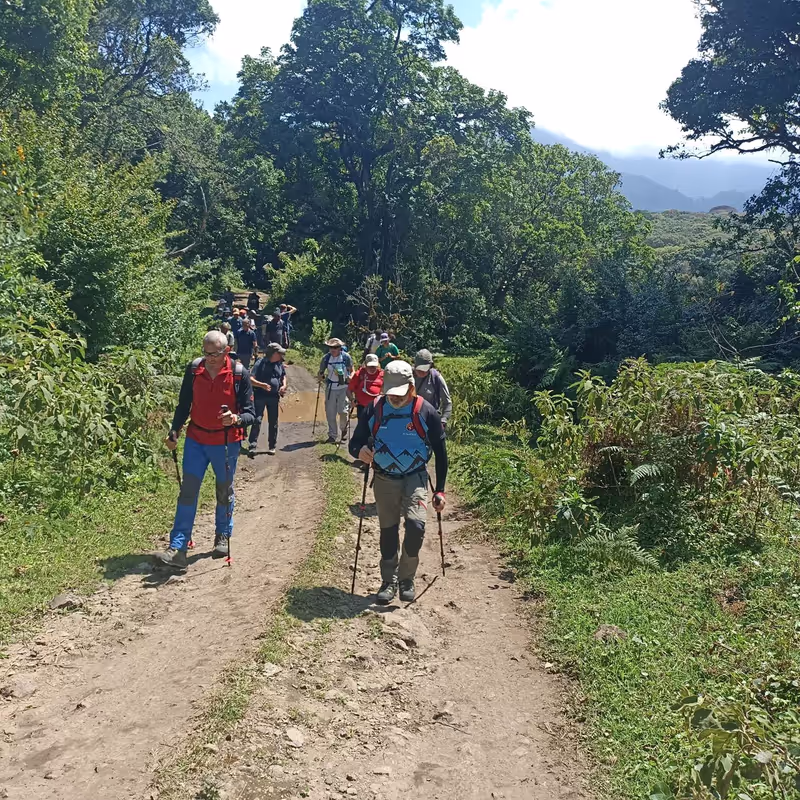 Moshi Private Tour - 