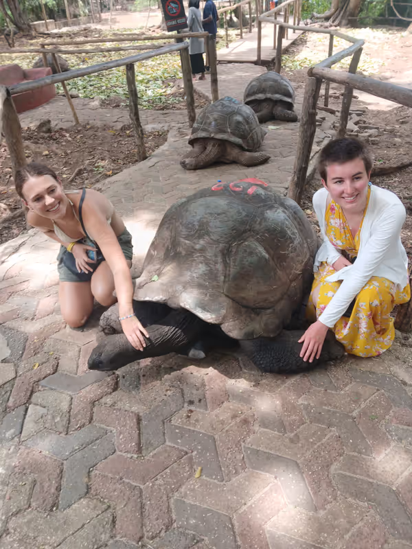 Zanzibar Private Tour - 
