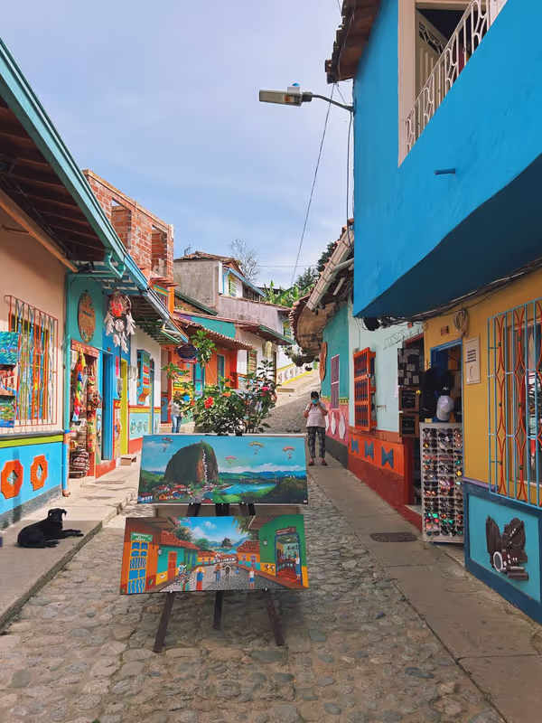 Medellin Private Tour - 
