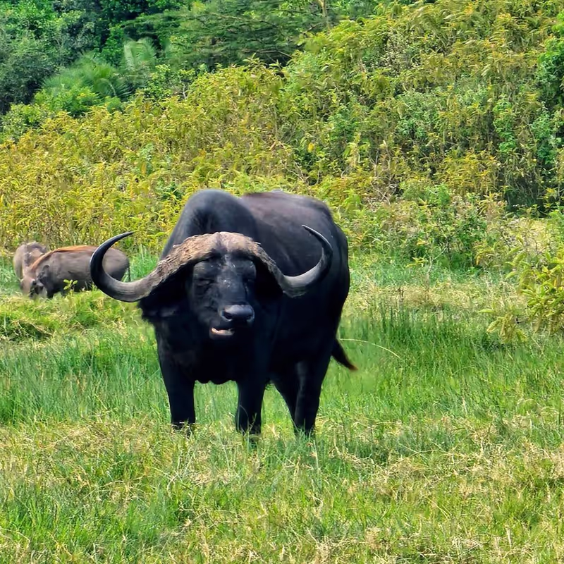 Arusha Private Tour - 