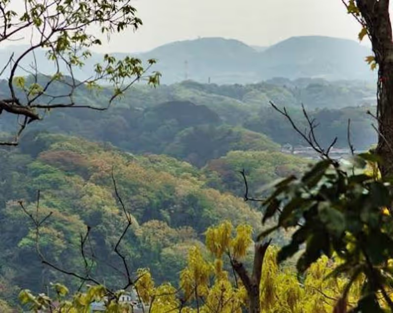 Kamakura Private Tour - 