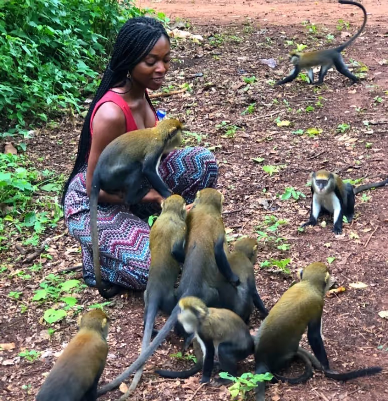 Brong-Ahafo Private Tour - 