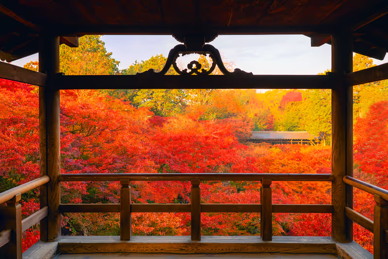 Osaka Private Tour - Tofukuji Tsutenkyo