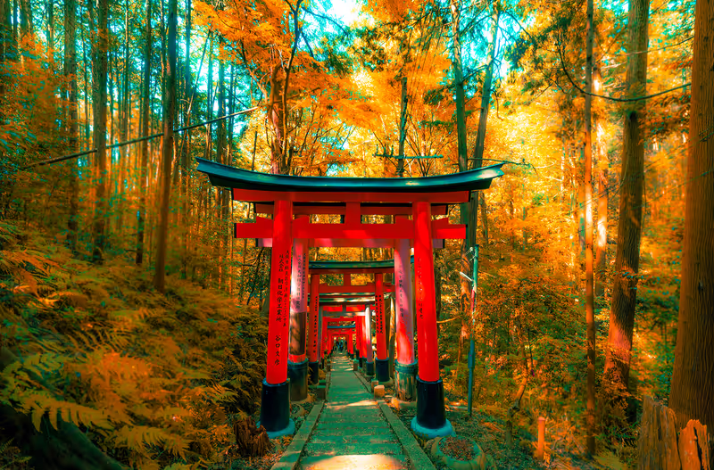 Osaka Private Tour - Fushimi Inari Taisha Autumn Approach