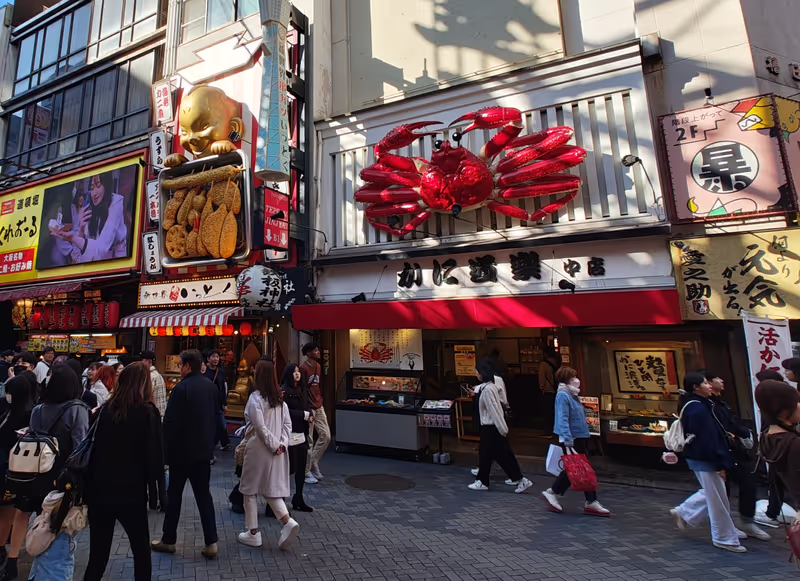 Osaka Private Tour - 