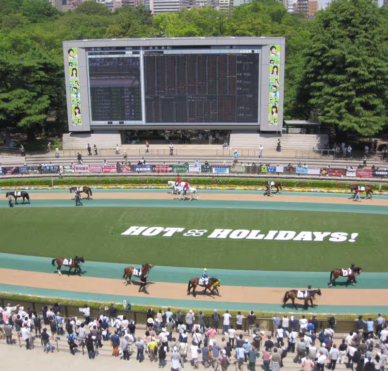 Tokyo Private Tour - Paddock