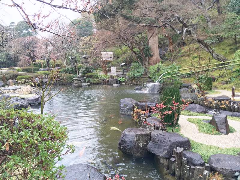 Kamakura Private Tour - Japanese Garden in Hase-dera Temple