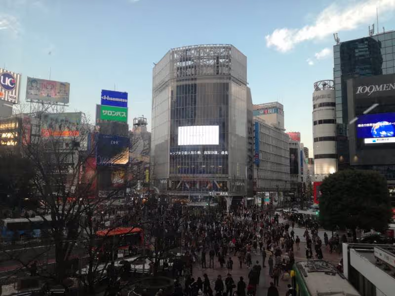 Tokyo Private Tour - Shibuya scramble crossing