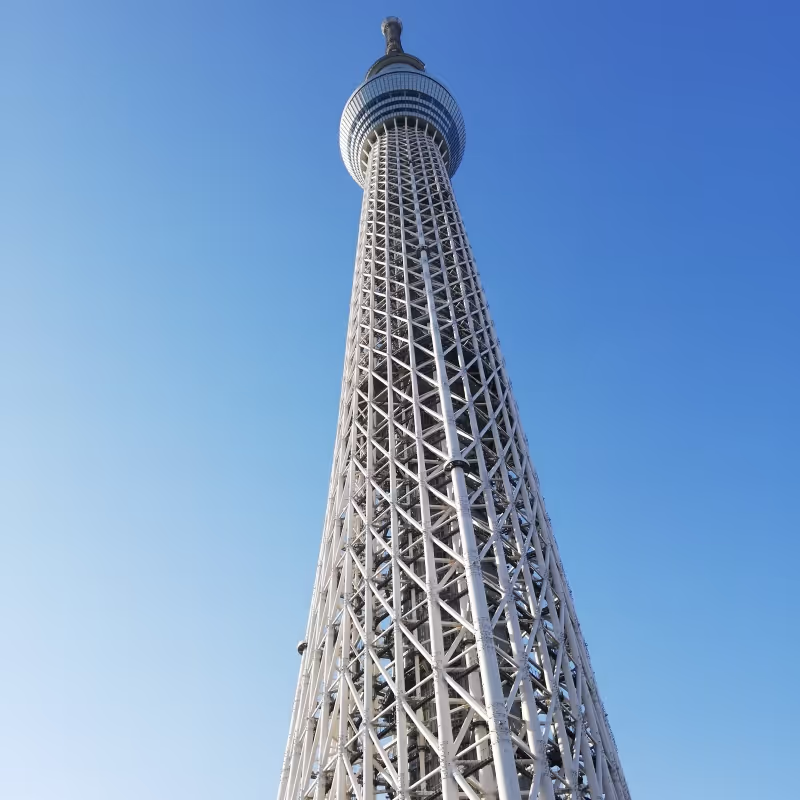 Tokyo Private Tour - Tokyo sky tree