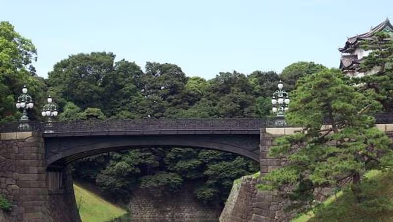 Tokyo Private Tour - 2. Double Bridge is not open to public but you can see this view.