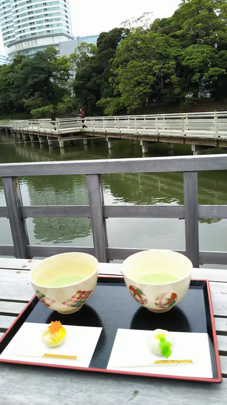 Tokyo Private Tour - view from the tea cottage