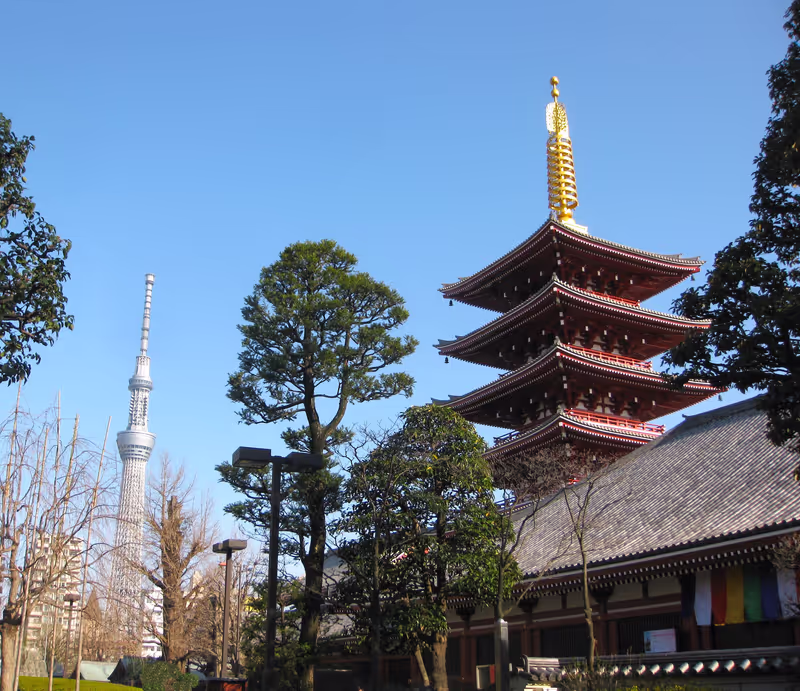 Tokyo Private Tour - Asakusa: Sky Tree and Pagoda