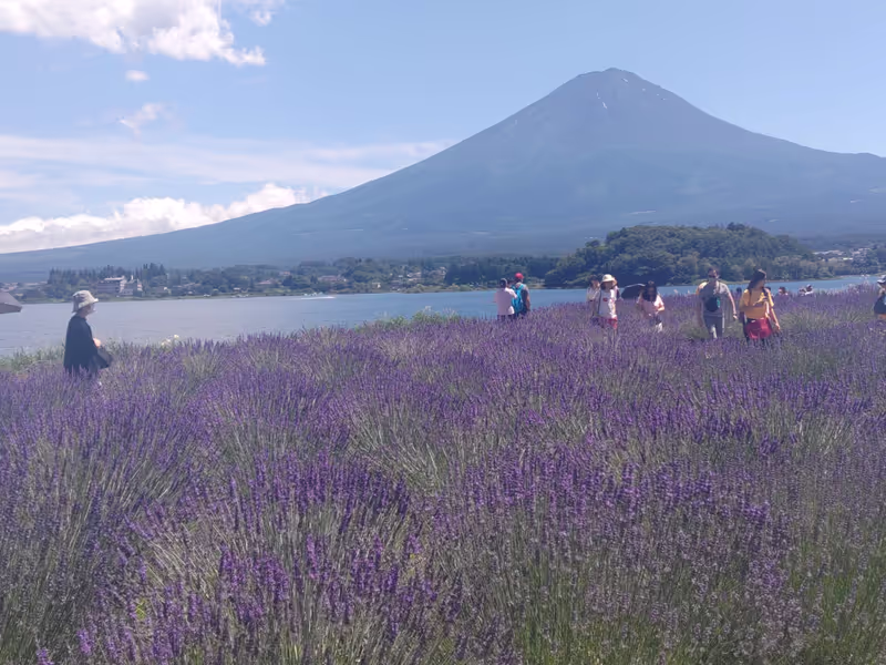 Mount Fuji Private Tour - Mt.Fuji from Lake Kawaguchi