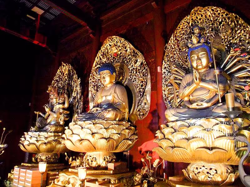 Nikko Private Tour - Three Golden Buddha in Rinnoji Temple