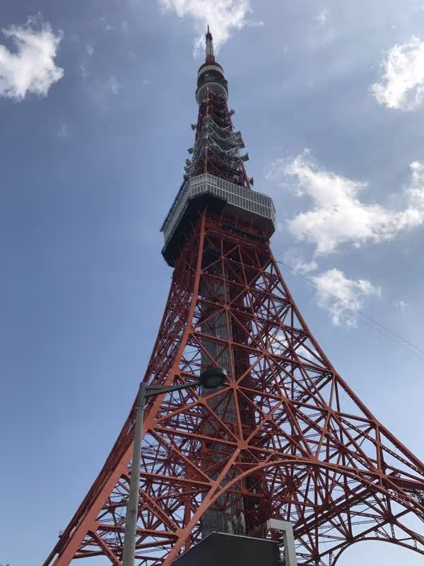Tokyo Private Tour - Torre de Tokio