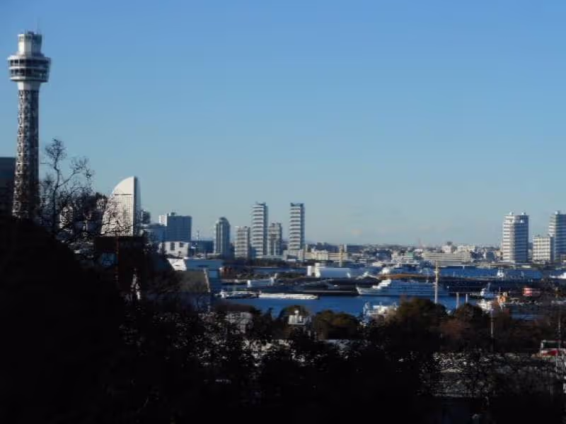 Yokohama Private Tour - Harbor View from Minato-no-mieru Park