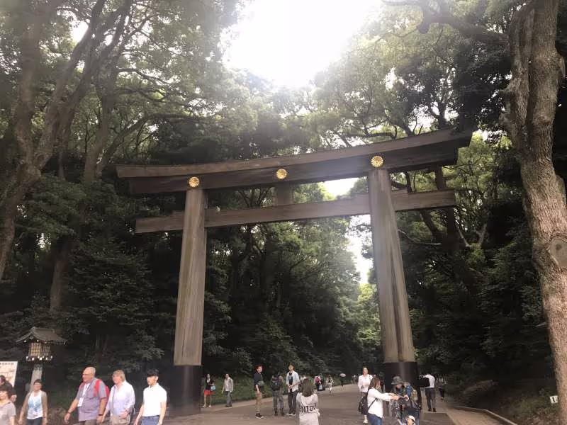 Tokyo Private Tour - null