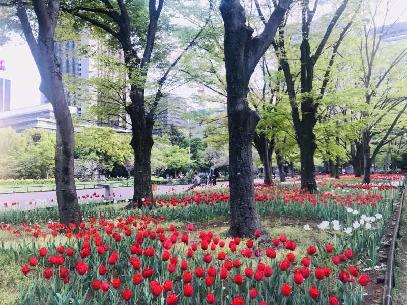 Tokyo Private Tour - Parque Hibiya