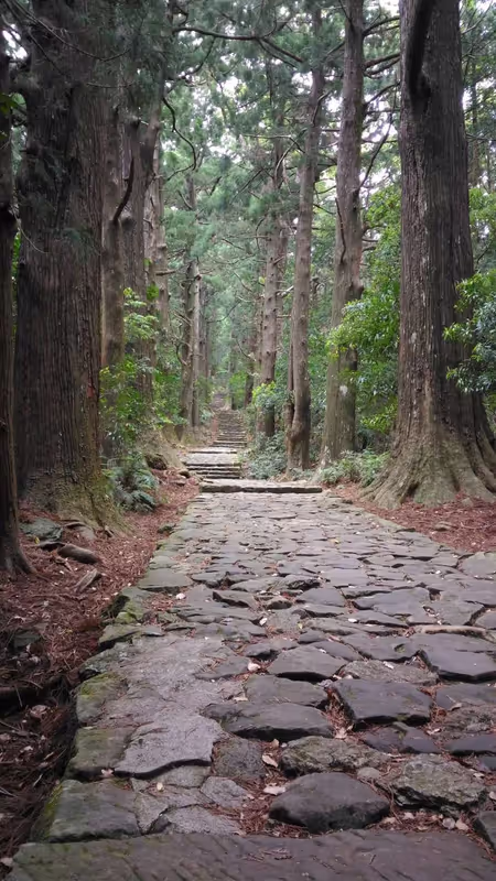 Kumano Private Tour - Daimonzaka
