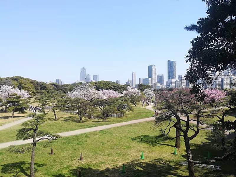 Tokyo Private Tour - Beautiful contrast between Japanese garden and modern high rise in Hamarikyu garden. 