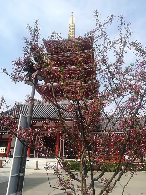 Tokyo Private Tour - Five story pagoda in Sensoji temple