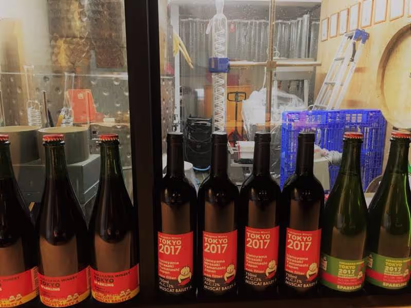 Tokyo Private Tour - Truly unique glimpse inside a small, family-owned working wineries