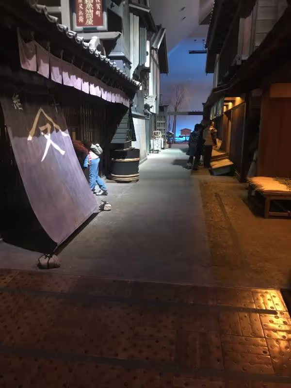 Tokyo Private Tour - null