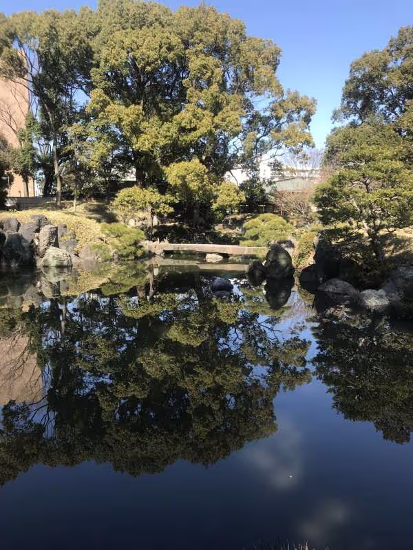 Tokyo Private Tour - null