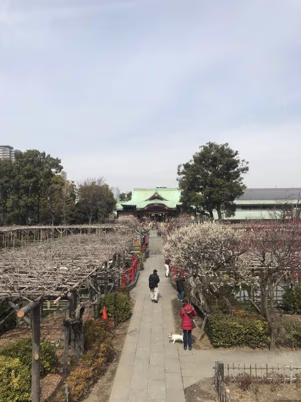 Tokyo Private Tour - null