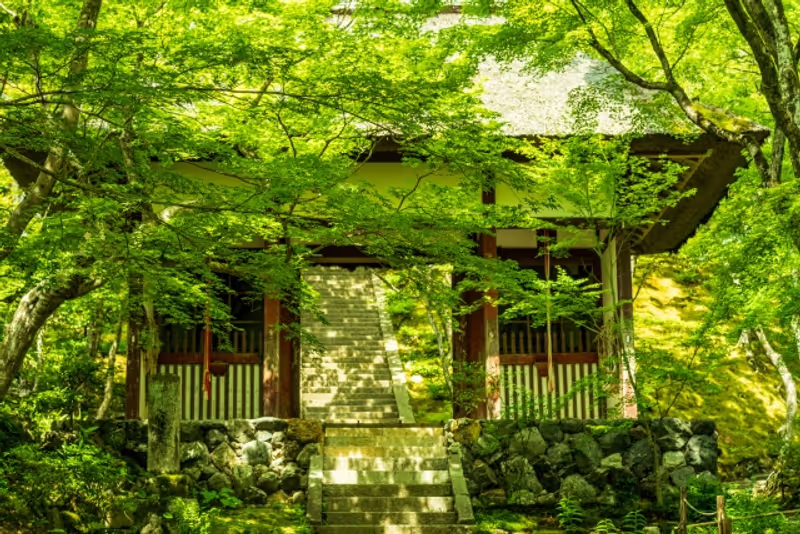 Kyoto Private Tour - null