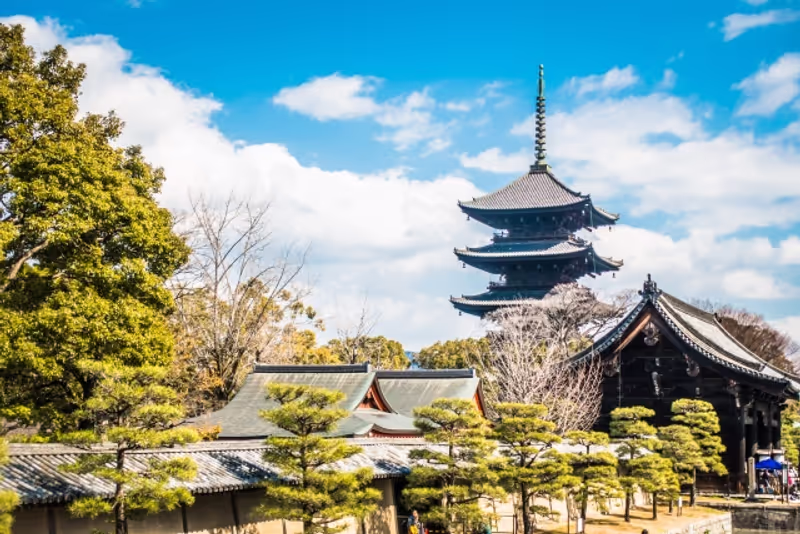 Kyoto Private Tour - null