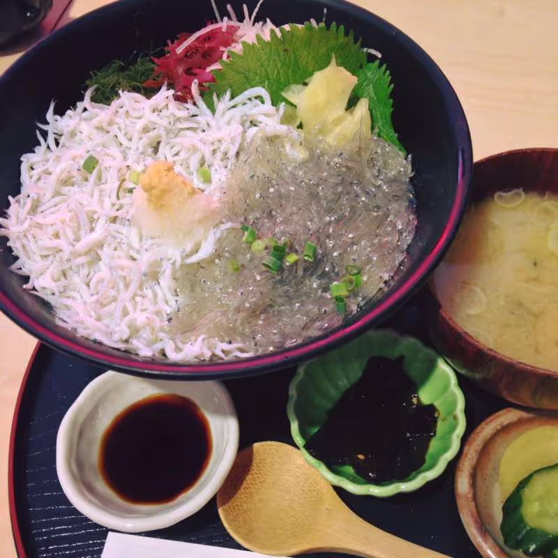 Kamakura Private Tour - The island's specialty, Shirasu-don, or a rice bowl topped with whitebait