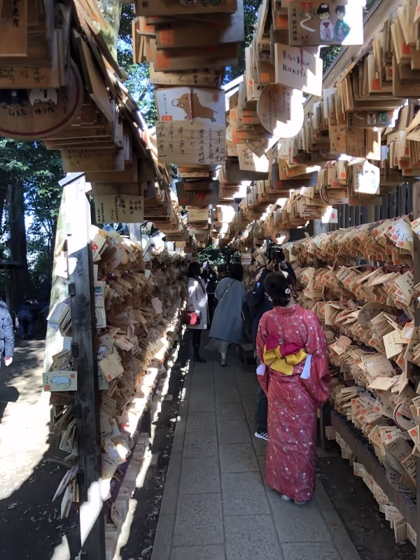 Tokyo Private Tour - Hikawa Shrine