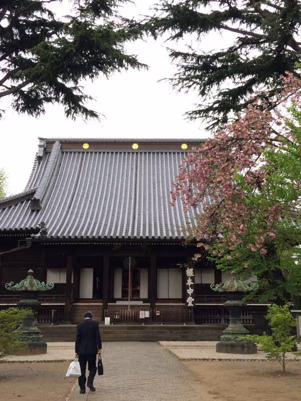 Tokyo Private Tour - Kaneiji Temple