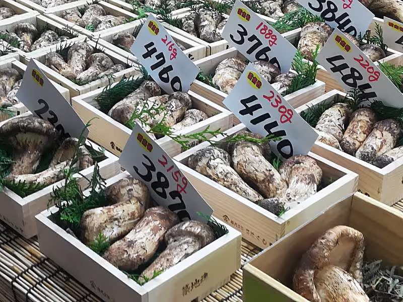 Tokyo Private Tour - Matsutake mushroom in paulownia box with price tag