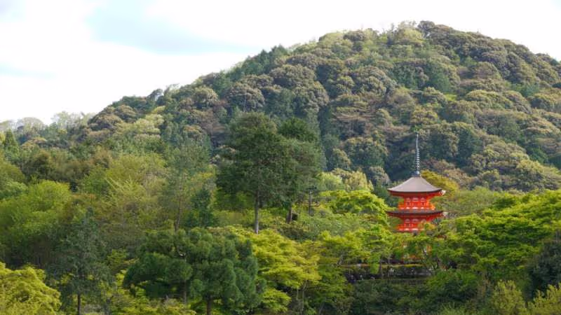 Kyoto Private Tour - View from Kiyomizudera temple