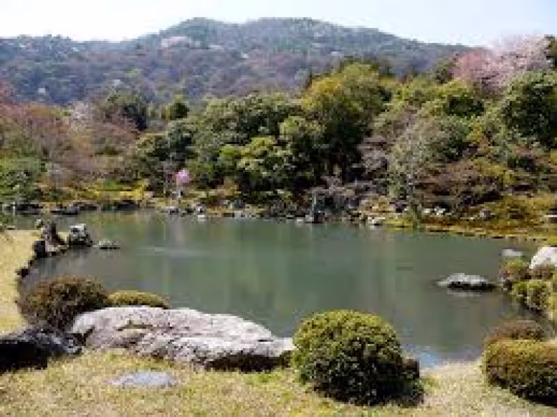 Kyoto Private Tour - Tenryuji Temple