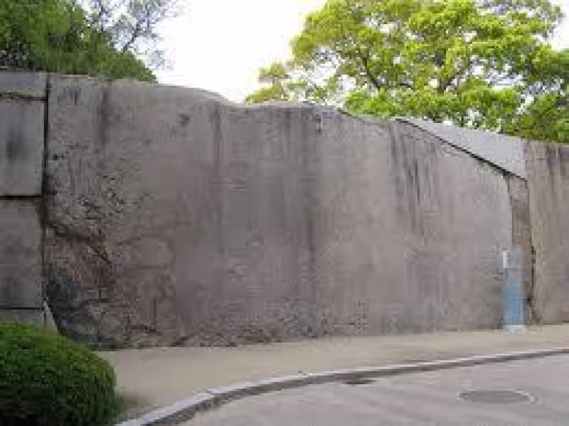 Osaka Private Tour - From where and how was it brought in? Well ....