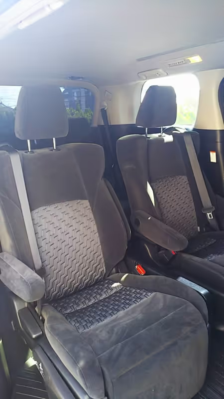 Tokyo Private Tour - Inside of Alphard