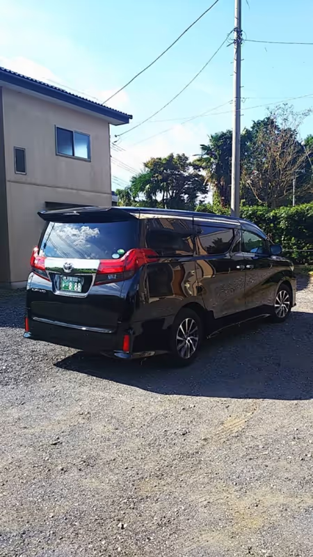 Tokyo Private Tour - Our Toyota Alphard 