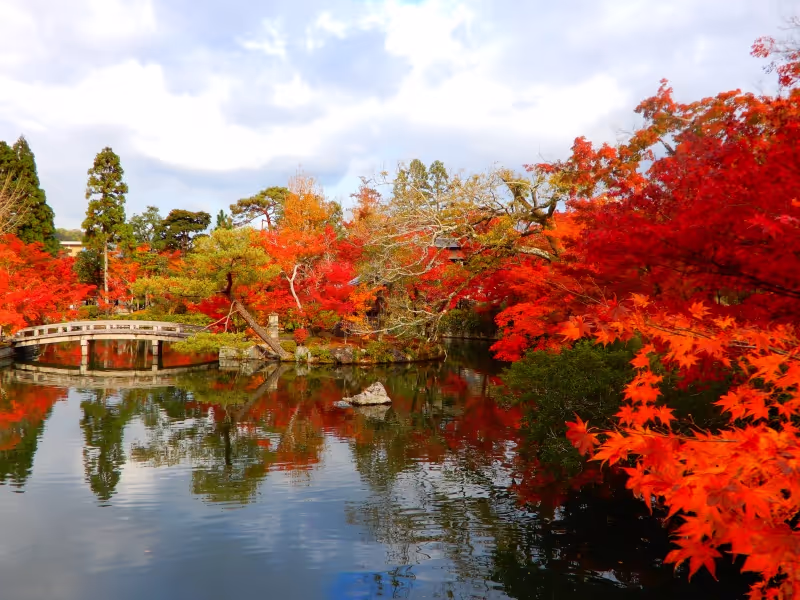 Kyoto Private Tour - At Eikan-do Temple