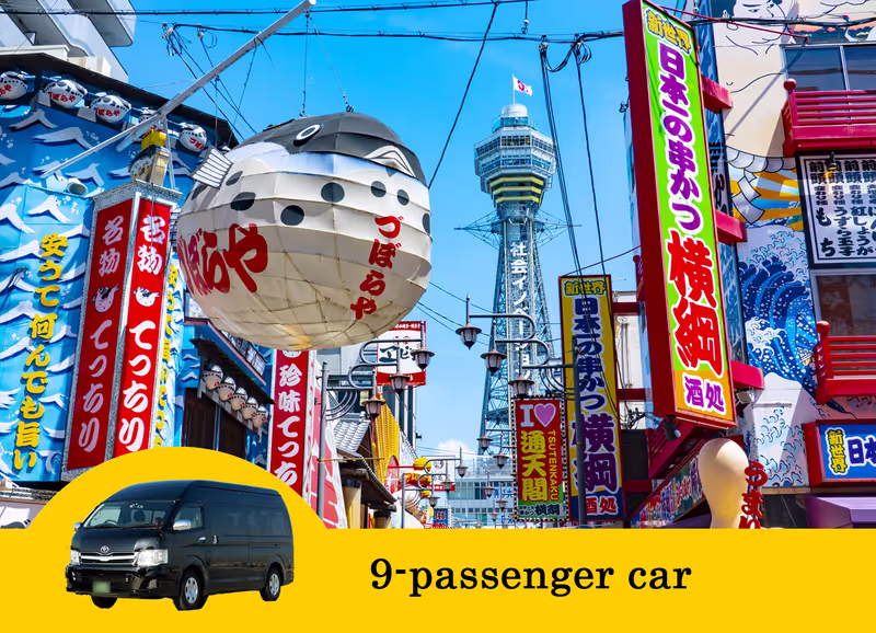 Osaka Private Tour - null